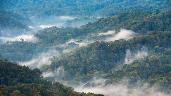 在哪个地方可以获取 - 免费领取5000个快手赞,极速增刷1000个名片赞,快手网页攻略